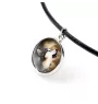 Malamute de l'Alaska - ensemble de bijoux dans une boîte, collier, boucles d'oreilles, bracelet, produits de la marque Art-Dog
