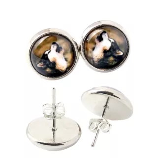 Alaskan Malamute - earrings in a box, your photo, handmade jewelry, a product of the Art-Dog brand