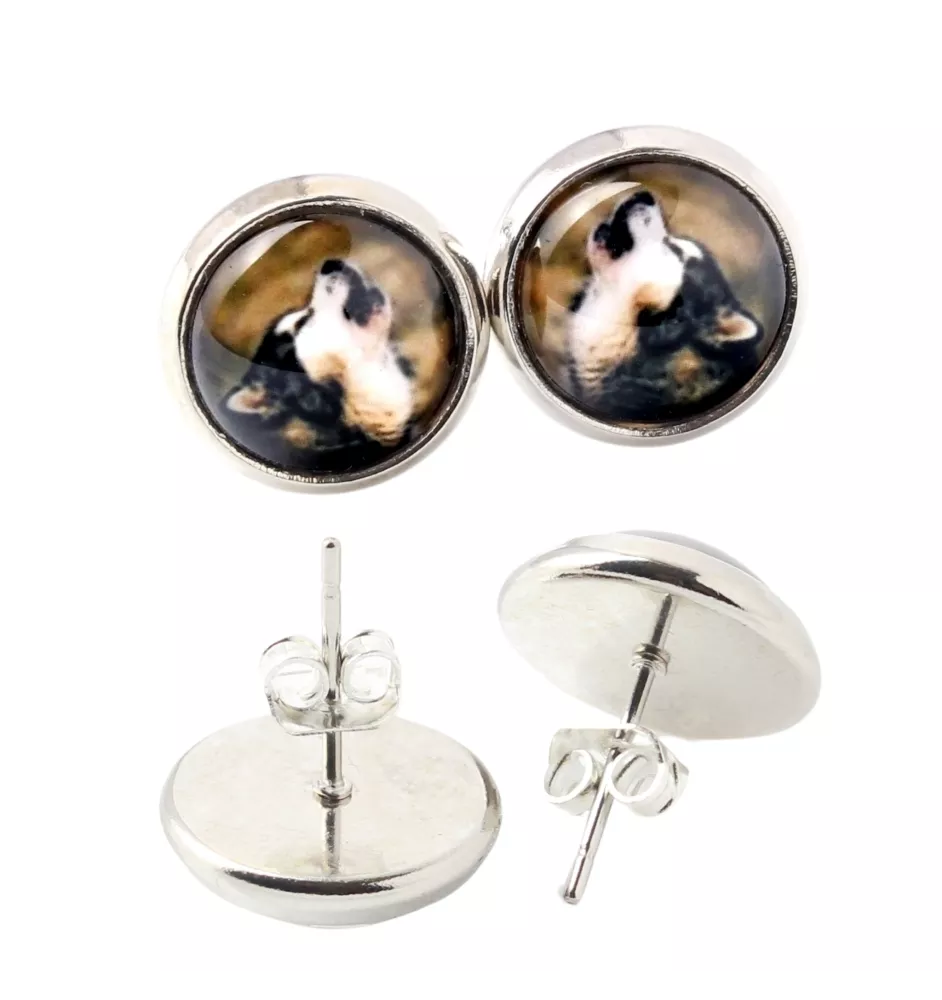 Alaskan Malamute - earrings in a box, your photo, handmade jewelry, a product of the Art-Dog brand