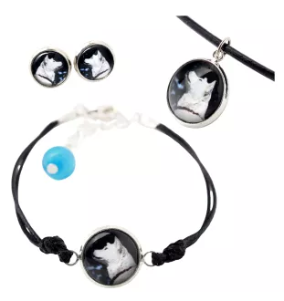Akita, Akita Inu - ensemble de bijoux dans une boîte, collier, boucles d'oreilles, bracelet, produits de la marque Art-Dog