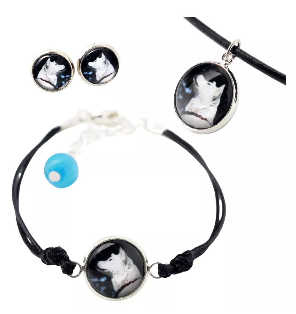 Akita, Akita Inu - a set of jewelry in a box, necklace, earrings, bracelet, products from the Art-Dog brand