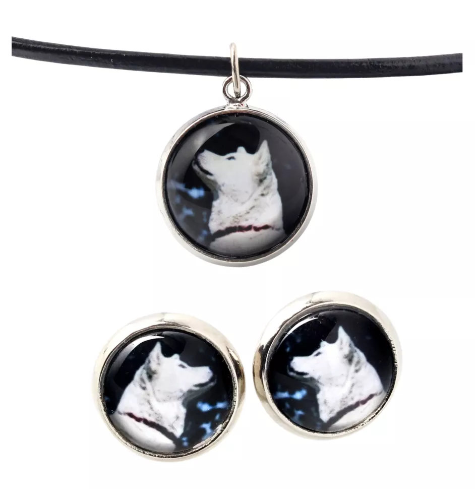 Akita, Akita Inu - jewelry with your photo box, set of necklace and earrings, personalized products from the Art-Dog brand