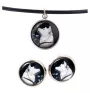Akita, Akita Inu - jewelry with your photo box, set of necklace and earrings, personalized products from the Art-Dog brand