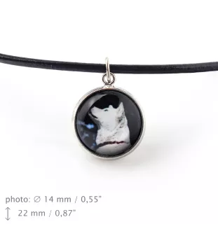 Akita, Akita Inu - Schmuck mit Ihrem Foto-Box, Halskette und Ohrringe-Set, personalisierte Produkte der Marke Art-Dog.