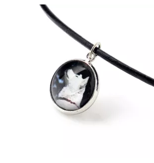 Akita, Akita Inu - boîte à bijoux avec votre photo, ensemble collier et boucles d'oreilles, produits personnalisés de la marque Art-Dog