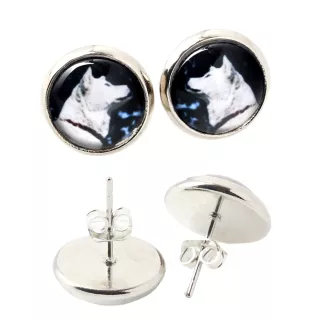 Akita, Akita Inu - Ohrringe in einer Schachtel, Ihr Foto, handgefertigter Schmuck, Eigenmarke von Art-Dog.