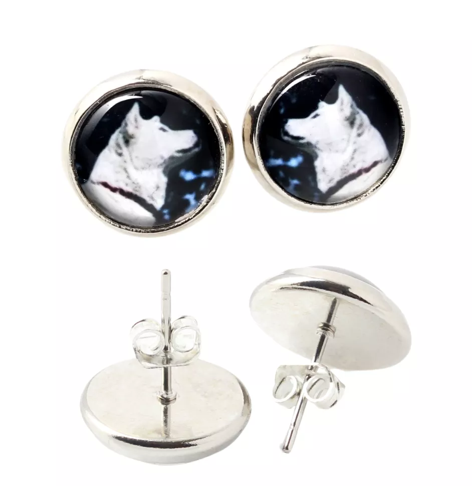 Akita, Akita Inu - Ohrringe in einer Schachtel, Ihr Foto, handgefertigter Schmuck, Eigenmarke von Art-Dog.