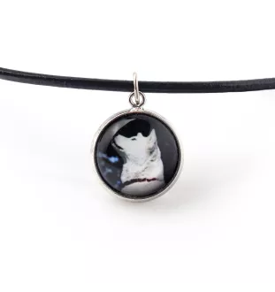 Akita, Akita Inu - necklace in a box, elegant decoration, pendant from the Art-Dog brand