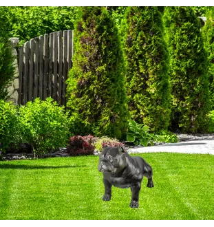American Bully II - Life-size dog statue, 1:1 scale figure, statue for the garden by Art-Dog