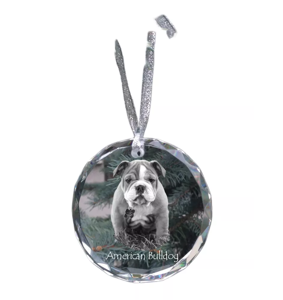 American Bulldog, Old Country Bulldog - crystal bauble with a photo, dog photo in crystal, personalized Christmas tree ornament by Art-Dog brand