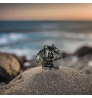 American Bully II - dog bust, large dog head for the garden, unique living room decoration by Art-Dog brand