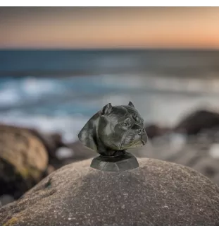 American Bully I - Urne für Hundeasche, Hundebüste, großer Hundekopf für den Garten von Art-Dog