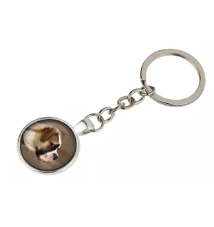 American Bulldog, Amerikanische Bulldogge - Schlüsselanhänger in einer Box, eigenes Foto, Schlüsselanhänger der Marke Art-Dog
