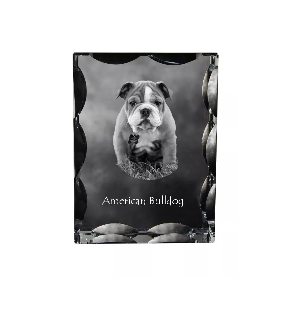 Bouledogue américain - cristal avec photo de chien, statuette en verre avec photo, cadre exceptionnel avec photo de la marque Art-Dog