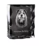 American Bulldog, Old Country Bulldog - crystal with a picture of a dog, glass statuette with a picture, unique frame with a picture from Art-Dog brand