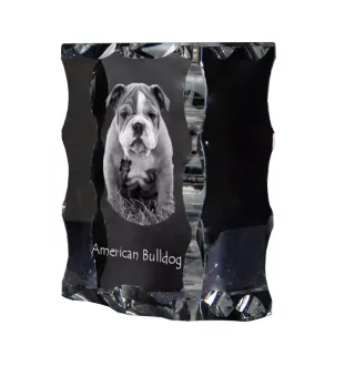 American Bulldog, Old Country Bulldog - crystal with a picture of a dog, glass statuette with a picture, unique frame with a picture from Art-Dog brand