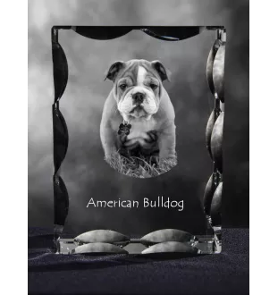 Bouledogue américain - cristal avec photo de chien, statuette en verre avec photo, cadre exceptionnel avec photo de la marque Art-Dog