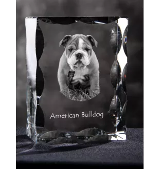 Bouledogue américain - cristal avec photo de chien, statuette en verre avec photo, cadre exceptionnel avec photo de la marque Art-Dog