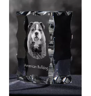 American Bulldog, Old Country Bulldog - crystal with a picture of a dog, glass statuette with a picture, unique frame with a picture from Art-Dog brand