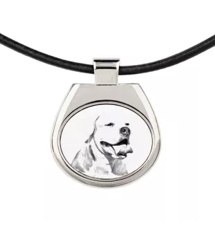 Bouledogue américain - collier avec chien, pendentif personnalisé avec photo, collier unique pour femmes et hommes de la marque Art-Dog