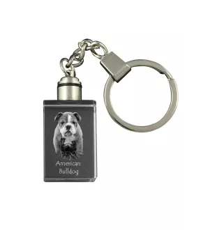 Bouledogue américain - Porte-clés en cristal avec photo de chien, porte-clés lumineux, cadeau unique de la marque Art-Dog