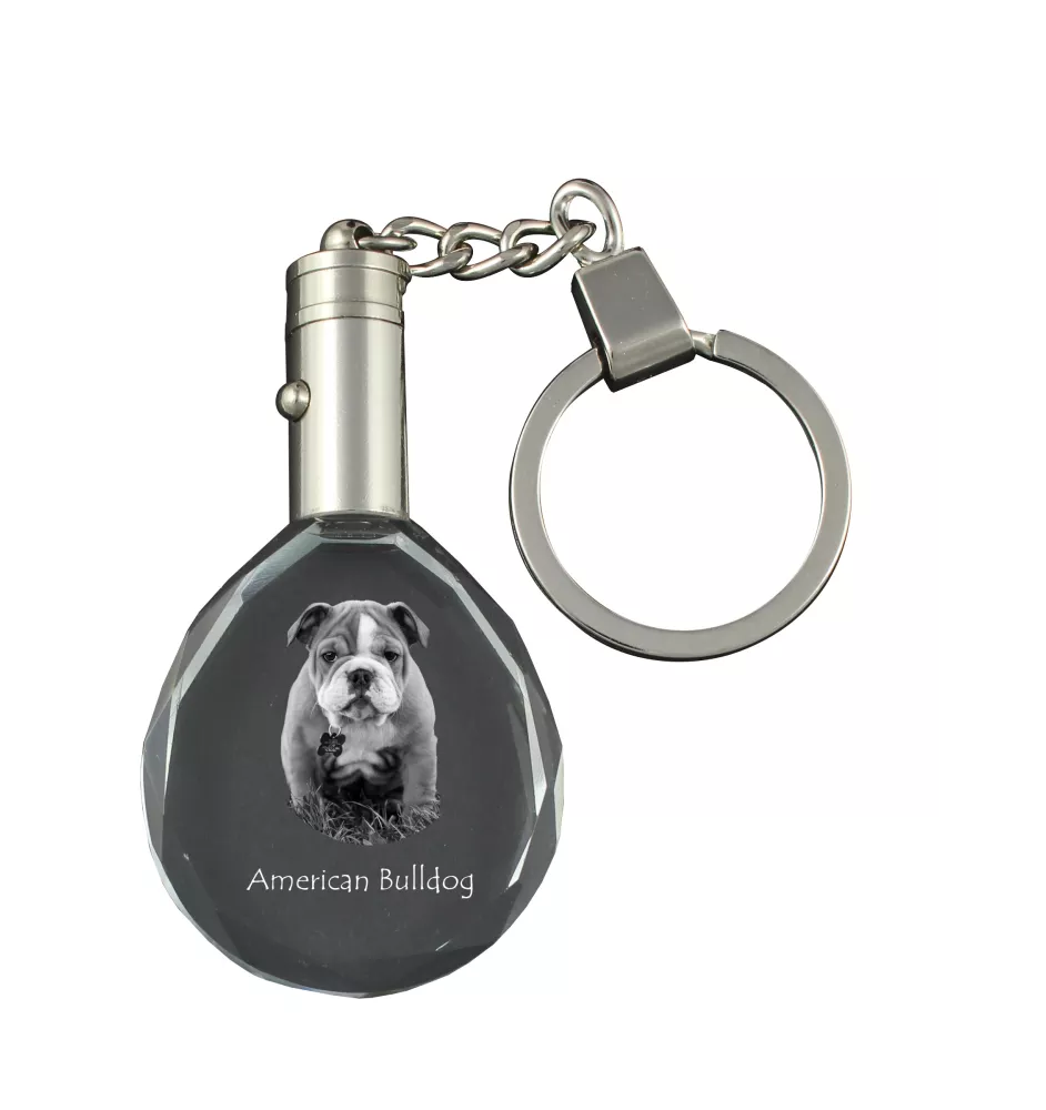 American Bulldog, Old Country Bulldog - pendant with a photo of a dog, crystal key ring in a gift box, a unique gift by Art-Dog