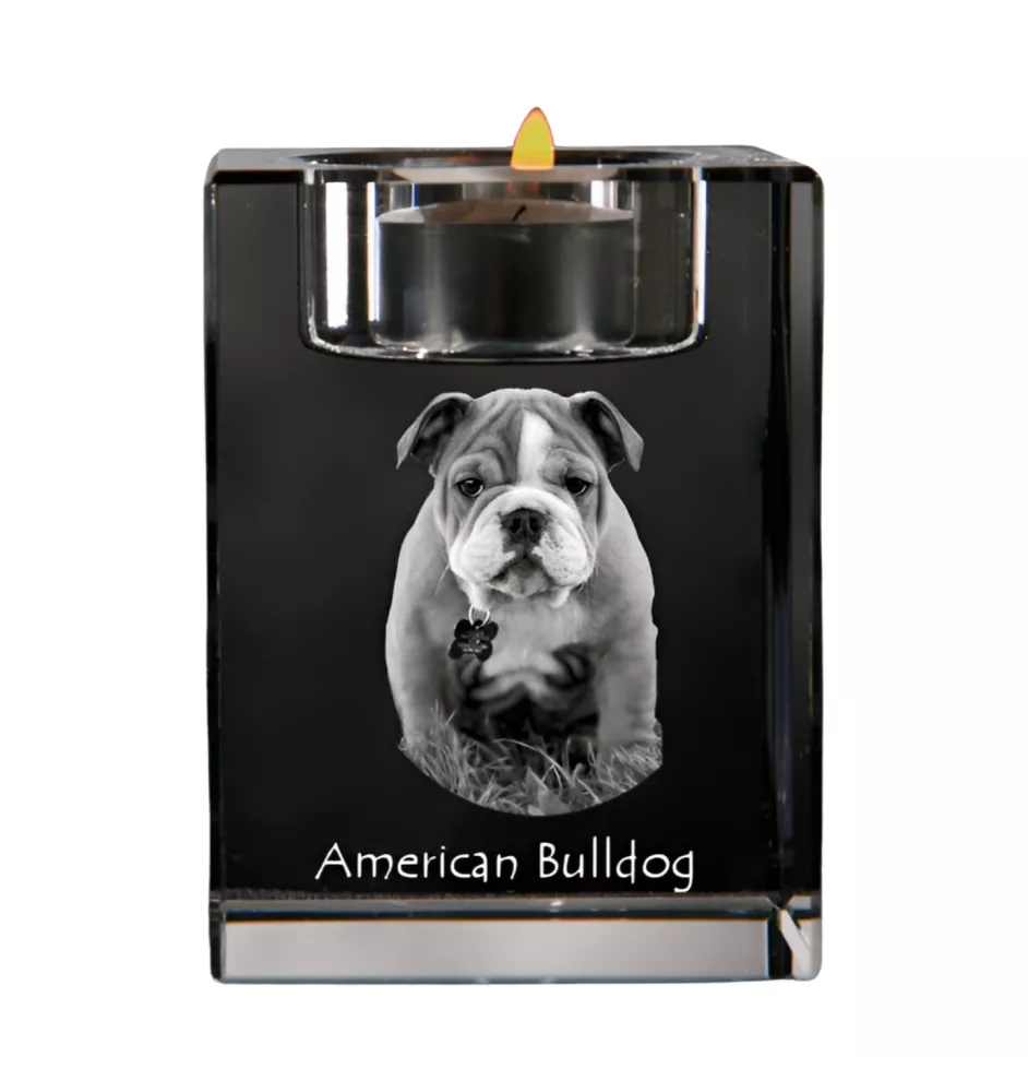 American Bulldog, Old Country Bulldog - Candle holder with dog photo, crystal tealight holder, personalised gift by Art-Dog brand