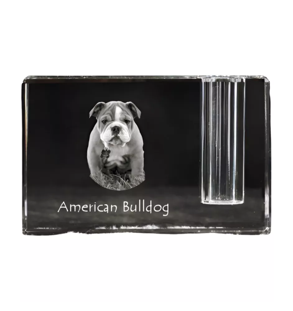 Bouledogue américain - Porte-stylos, organiseur en cristal avec photo de chien, décoration de bureau unique par la marque Art-Dog