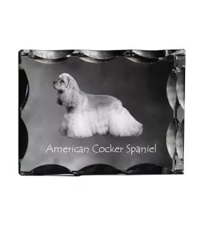 American Cocker Spaniel, Merry Cocker - crystal with a picture of a dog, glass statuette with a picture, unique frame with a picture from Art-Dog brand