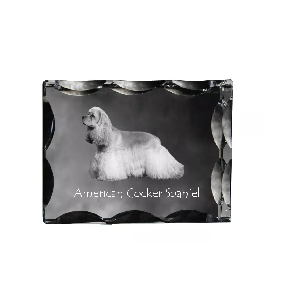 Cocker Américain - cristal avec photo de chien, statuette en verre avec photo, cadre exceptionnel avec photo de la marque Art-Dog
