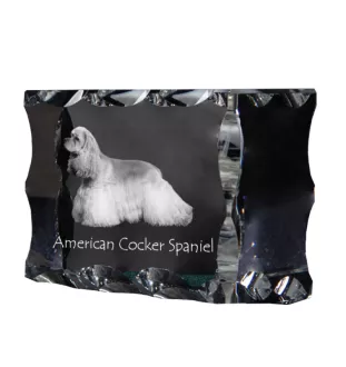 American Cocker Spaniel, Merry Cocker - crystal with a picture of a dog, glass statuette with a picture, unique frame with a picture from Art-Dog brand