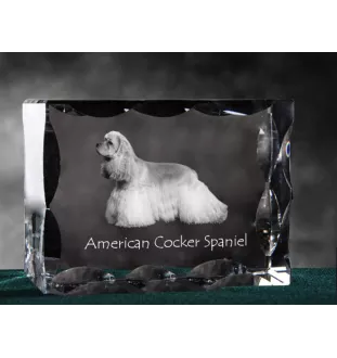 Amerikanischer Cocker Spaniel, American Cocker Spaniel - Kristall mit einem Hundebild, Glasstatuette mit einem Bild, einzigartiger Bilderrahmen der Marke Art-Dog