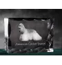 Cocker Américain - cristal avec photo de chien, statuette en verre avec photo, cadre exceptionnel avec photo de la marque Art-Dog