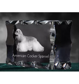 Amerikanischer Cocker Spaniel, American Cocker Spaniel - Kristall mit einem Hundebild, Glasstatuette mit einem Bild, einzigartiger Bilderrahmen der Marke Art-Dog