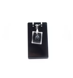 Bouledogue américain - Pendentif chien en cristal, collier photo, bijoux uniques par Art-Dog