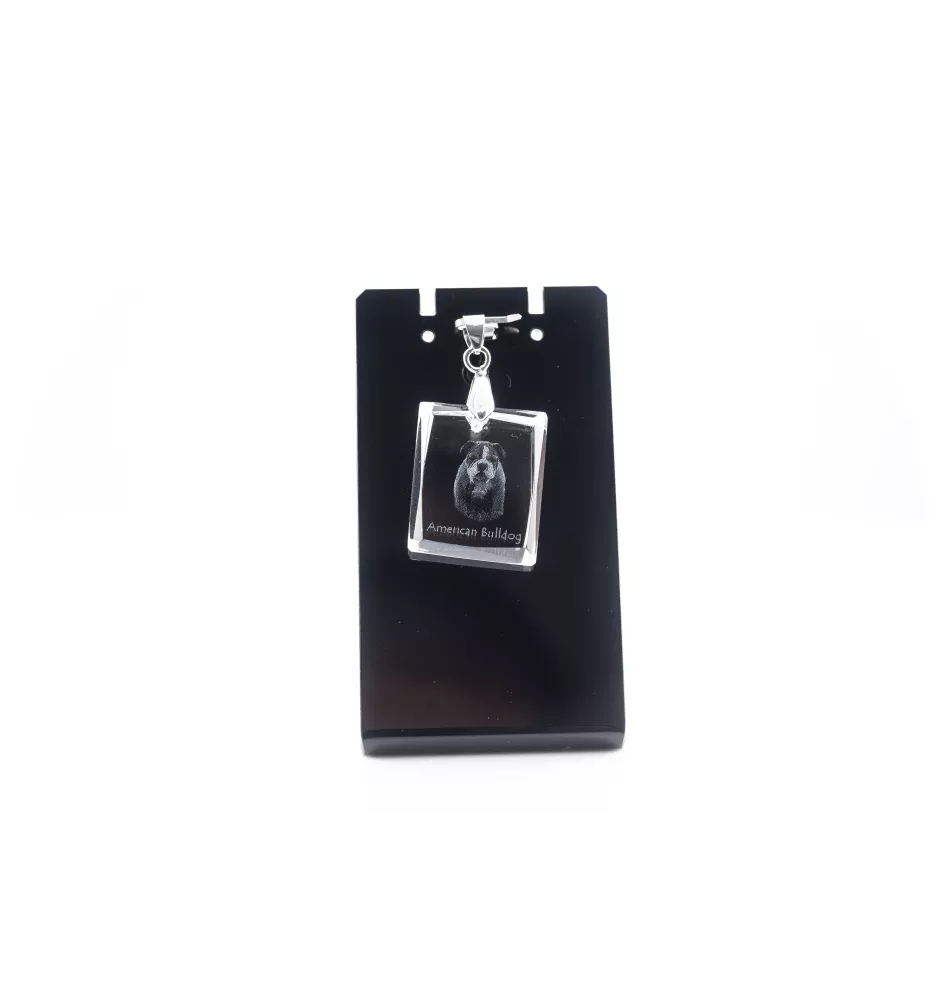 Bouledogue américain - Pendentif chien en cristal, collier photo, bijoux uniques par Art-Dog