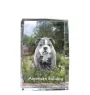 American Bulldog, Amerikanische Bulldogge - Kristall mit einem Hundebild, Bild im Glas, moderne Ausstellung des Art-Dog-Bildes.