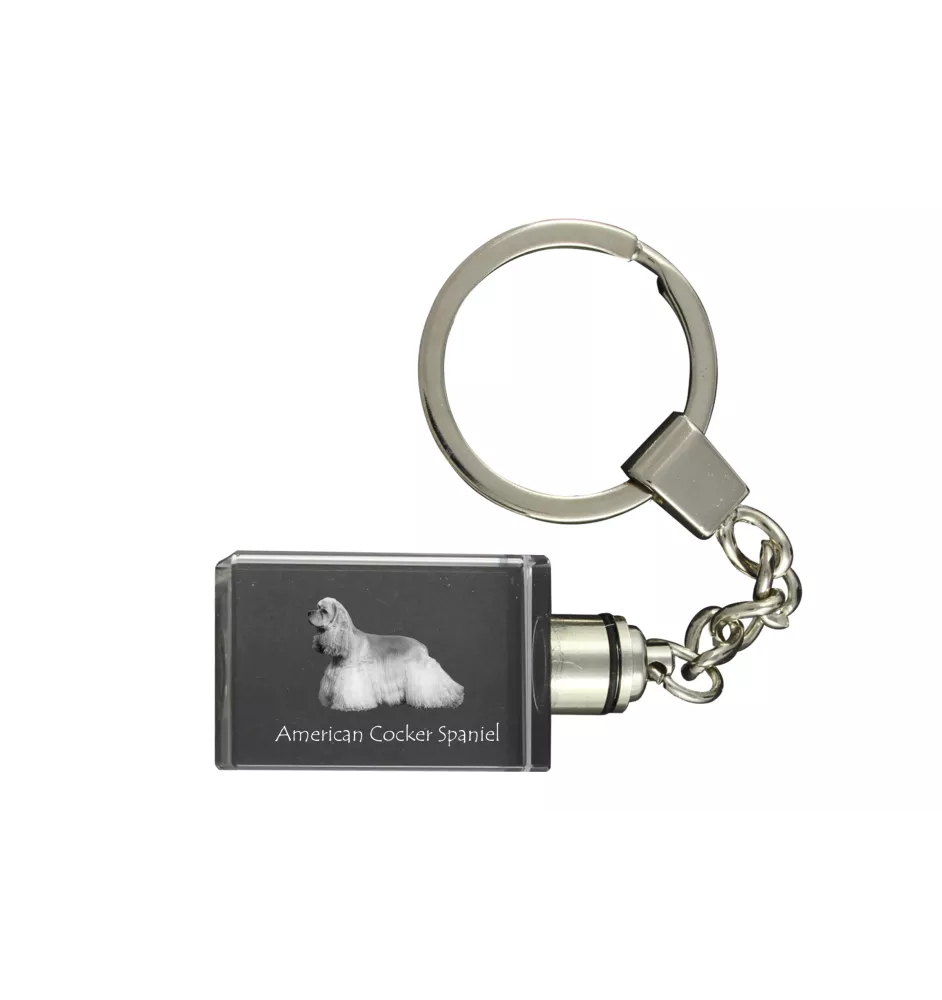 Cocker Américain - Porte-clés en cristal avec photo de chien, porte-clés lumineux, cadeau unique de la marque Art-Dog