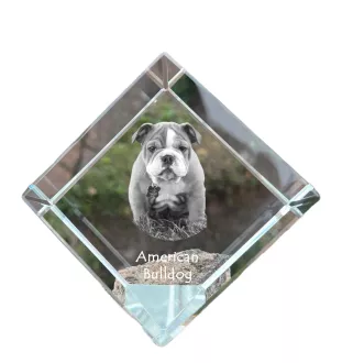 American Bulldog, Amerikanische Bulldogge - Kristallwürfel mit Bild, Pferdebild im Kristall, sechseckiger Papierclip der Marke Art-Dog