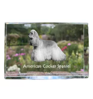 Cocker Américain - cristal avec une photo de chien, photo sous verre, exposition moderne de la marque de photos Art-Dog