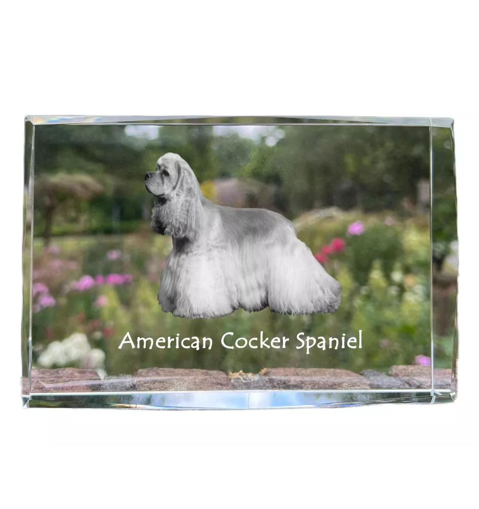 Cocker Américain - cristal avec une photo de chien, photo sous verre, exposition moderne de la marque de photos Art-Dog