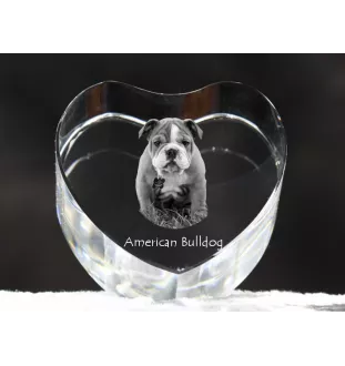 American Bulldog, Old Country Bulldog - a photo of a dog in crystal, crystal heart, unique photo frame from the Art-Dog brand