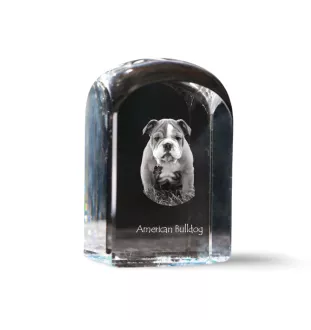 Bouledogue américain - un cube de cristal avec une photo, une photo de chien dans le cristal, un presse-papiers cubique de la marque Art-Dog