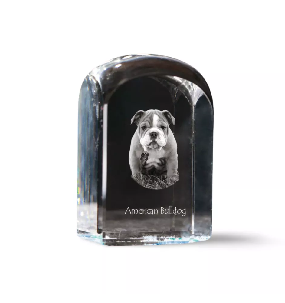 Bouledogue américain - un cube de cristal avec une photo, une photo de chien dans le cristal, un presse-papiers cubique de la marque Art-Dog