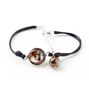 Bouledogue américain - ensemble de bijoux dans une boîte, collier, boucles d'oreilles, bracelet, produits de la marque Art-Dog