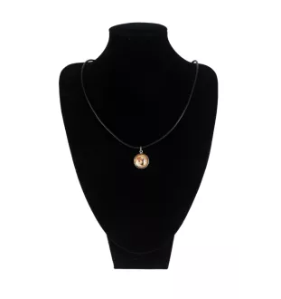 Bouledogue américain - boîte à bijoux avec votre photo, ensemble collier et boucles d'oreilles, produits personnalisés de la marque Art-Dog