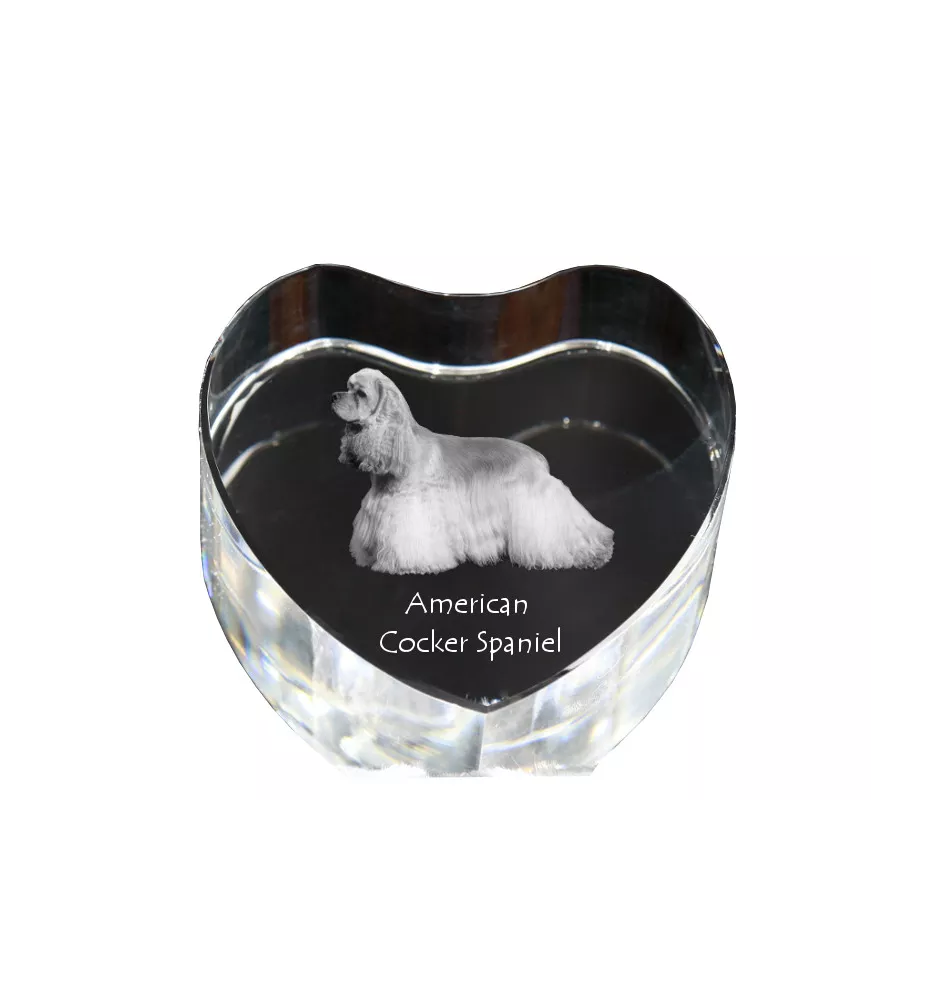 American Cocker Spaniel, Merry Cocker - a photo of a dog in crystal, crystal heart, unique photo frame from the Art-Dog brand