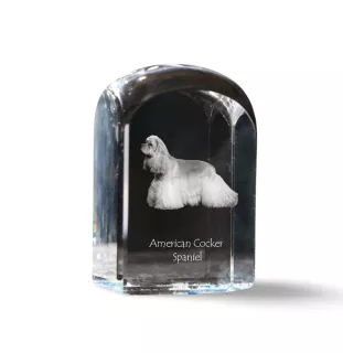 Amerikanischer Cocker Spaniel, American Cocker Spaniel - Kristallwürfel mit Bild, Hundebild im Kristall, sechseckiger Papierclip von Art-Dog.