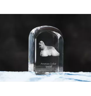 American Cocker Spaniel, Merry Cocker - crystal cube with a photo, photo of a dog in crystal, cubic paperweight from Art-Dog brand