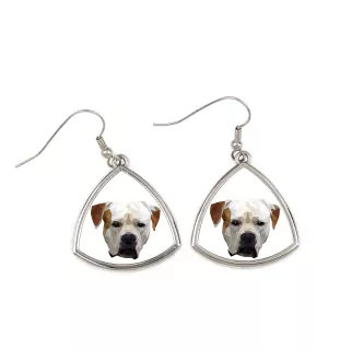 Bouledogue américain - boucles d'oreilles avec une photo et un motif de chien géométrique Art-Dog